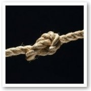 Health In The Bay Knot