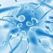 Health In The Bay Fertility